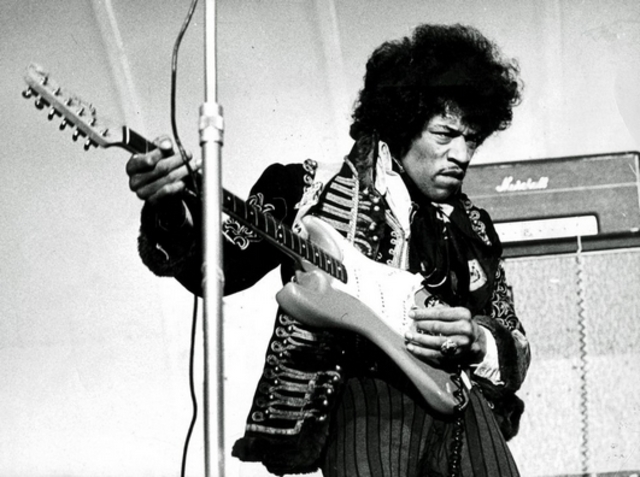 Researchers name new plant after Jimi Hendrix