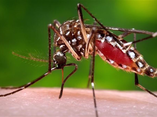 50 cities most at risk for Zika