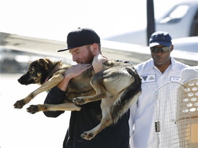 Dog presumed drowned found safe 5 weeks later