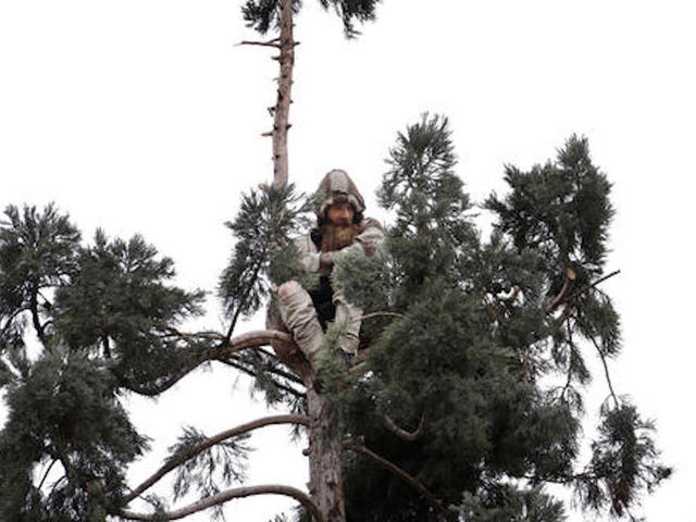 Man finally descends Seattle tree after 25 hours