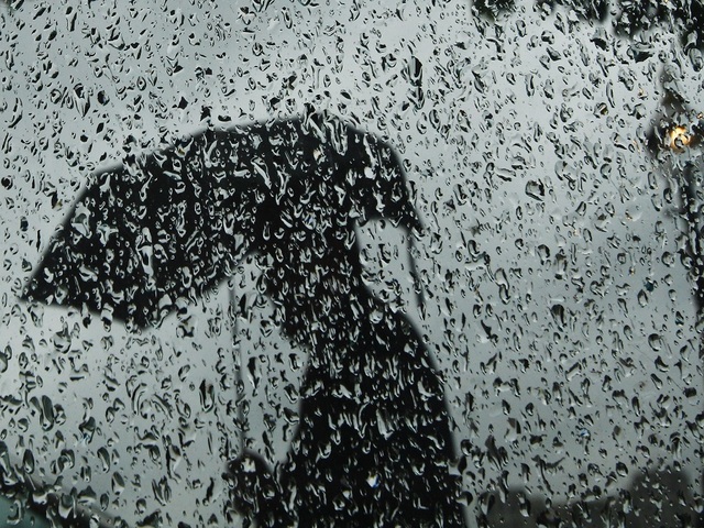 rainy day umbrella
