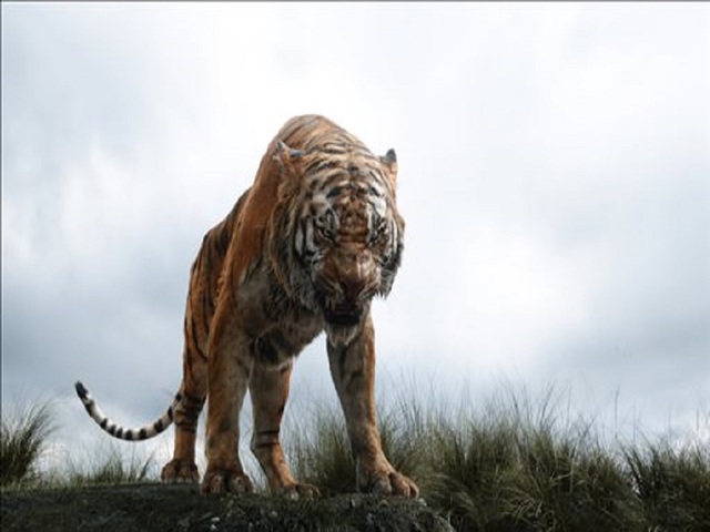 'Jungle Book,' Warner Bros. win trailer awards