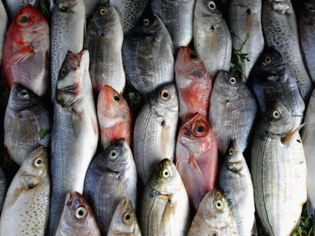 35 tons of dead fish wash ashore in China