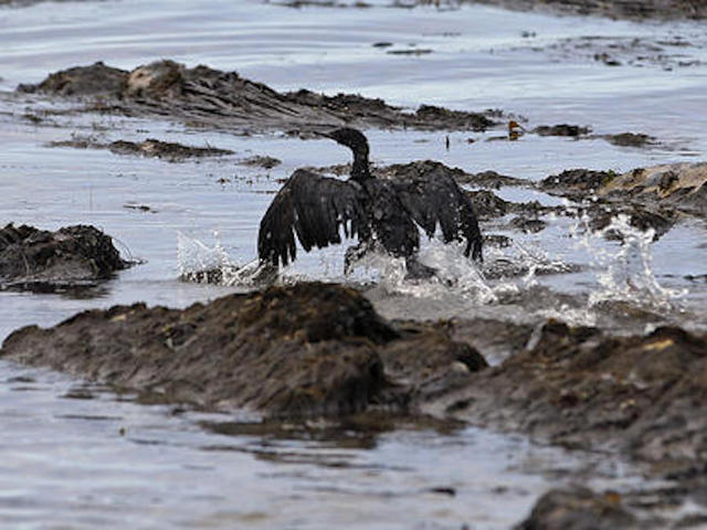 Up to 210,000 gallons of oil spills from California pipeline