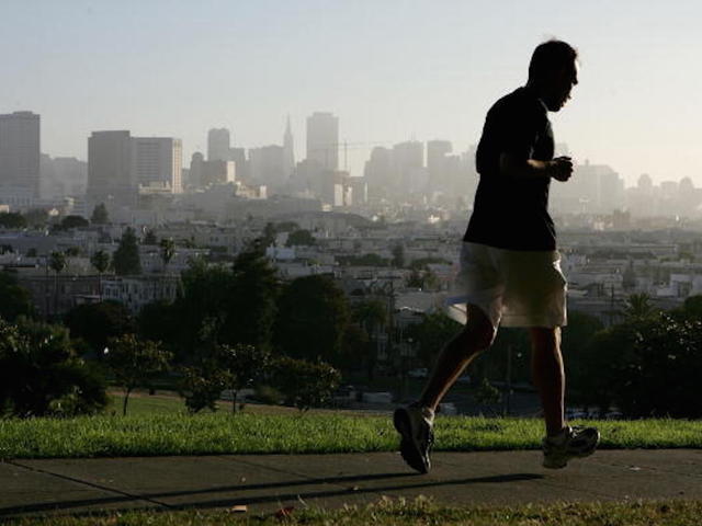 Public park in SF renting out patches of grass