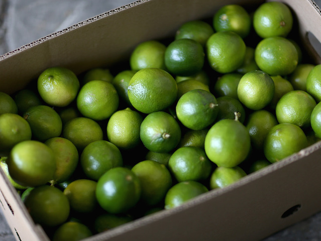Study shows smelling citrus can boost your mood