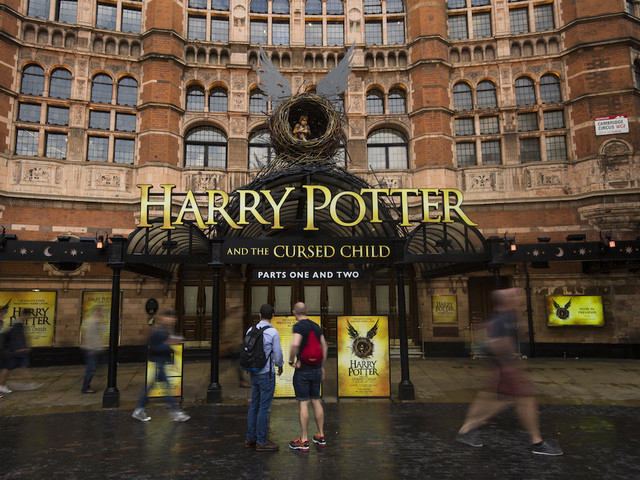 Harry Potter play cuts owls after one flies away