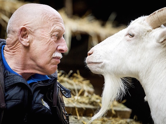 TV vet who saved dog exonerated by court