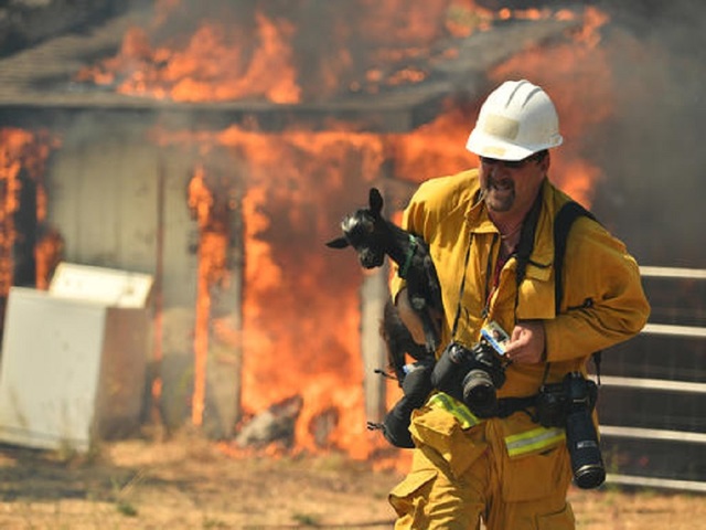 Calif. wildfire destroys homes as it reaches town of 1,200