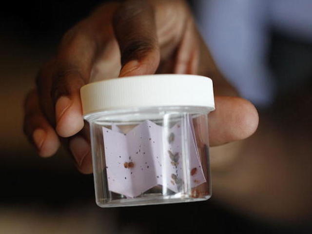 Orkin releases list of cities most plagued by bed bugs
