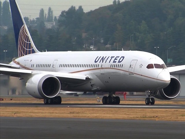 United Airlines resumes flights after temporary ground order