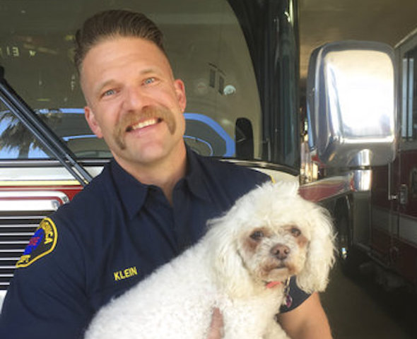 California firefighters save dog with 20 minutes of CPR