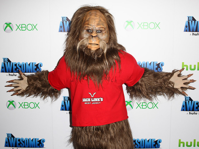 Idaho woman blames car crash on seeing sasquatch