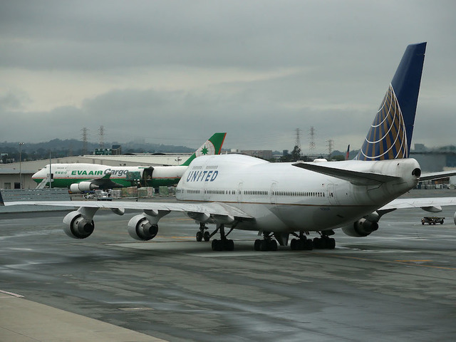 Giant rabbit dies in latest United Airlines controversy