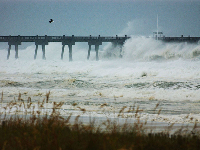 Texans want Trump to help build 'hurricane wall'