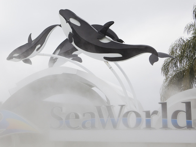 Despite stock price surge, SeaWorld cuts 125 jobs
