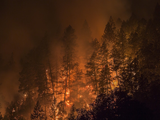 State says seniors were abandoned during California wildfire