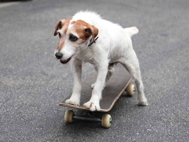 Resources: Learning how to skateboard