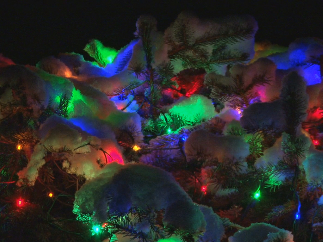 7 best places to see christmas lights in the usa 10newscom kgtv tv san diego - Best Christmas Lights In San Diego 7 best places to see christmas lights in the usa 10newscom kgtv tv san diego - Best Christmas Lights In San Diego