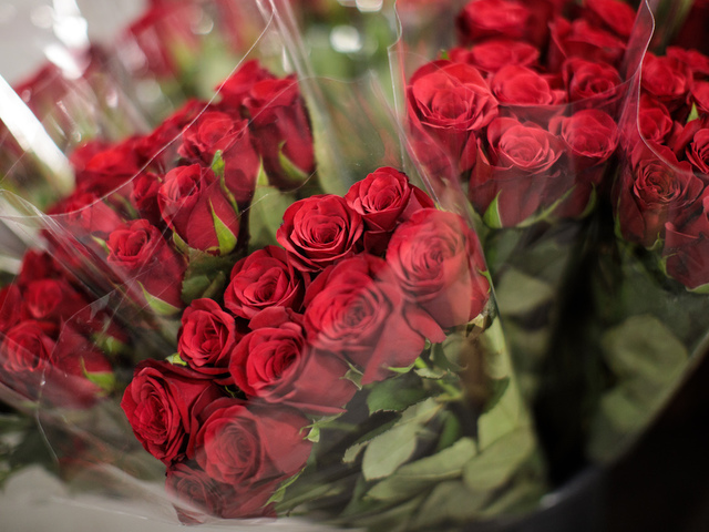 flowers