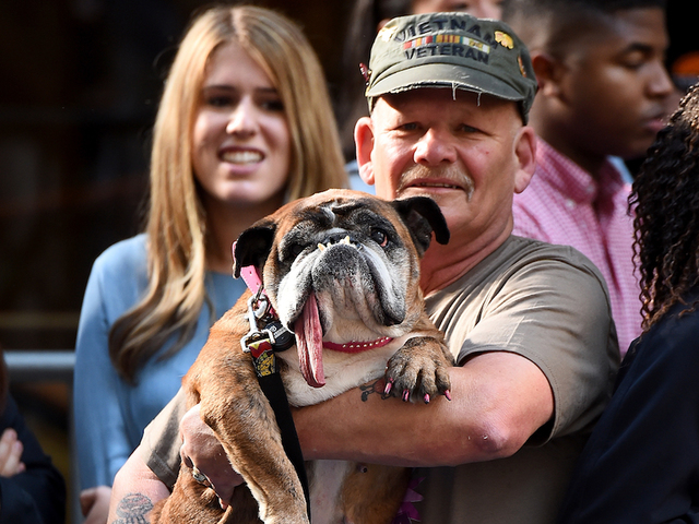 Zsa Zsa dies weeks after being dubbed 'World's Ugliest Dog'