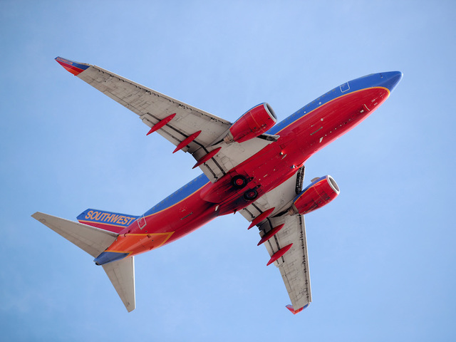 Southwest Airlines says only cats and dogs allowed as emotional support animals