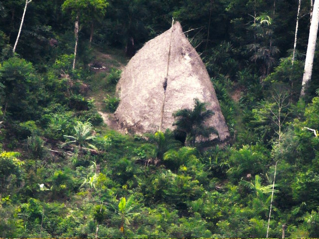 Never-before seen Amazon tribe caught on drone video