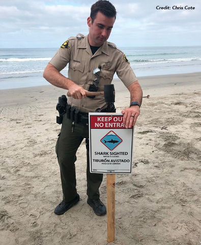 Child attacked by shark in California